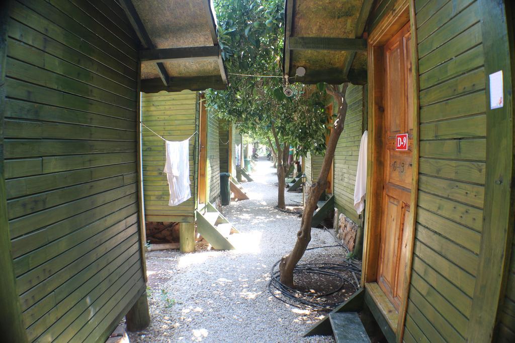 Olympos Zeytin Bed & Breakfast Exterior photo