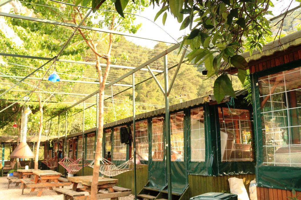 Olympos Zeytin Bed & Breakfast Exterior photo
