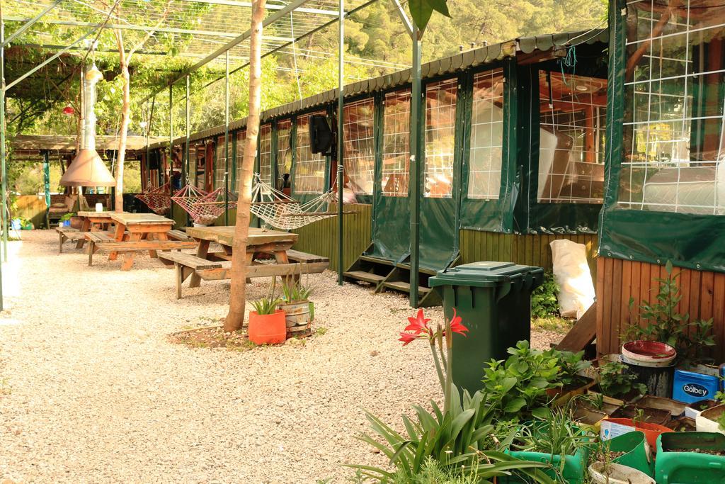 Olympos Zeytin Bed & Breakfast Exterior photo
