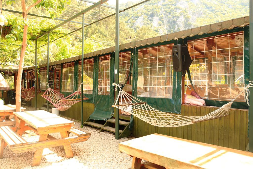 Olympos Zeytin Bed & Breakfast Exterior photo
