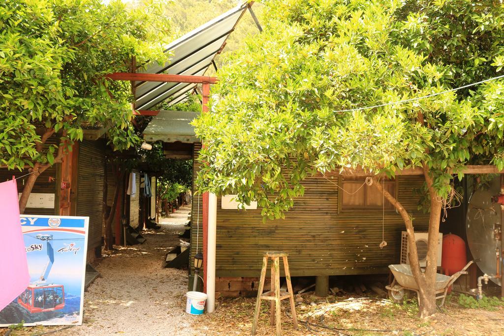 Olympos Zeytin Bed & Breakfast Exterior photo